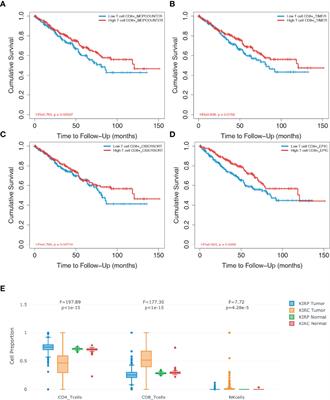 Tumor-Infiltrated CD8+ T Cell 10-Gene Signature Related to Clear Cell Renal Cell Carcinoma Prognosis